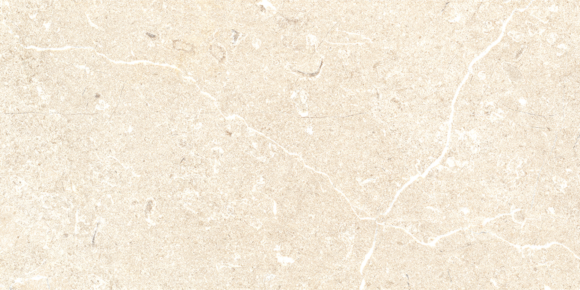 ragno viaggi rcz4.jpg