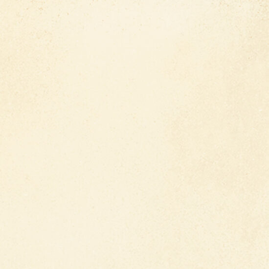 ragno viaggi rcz7.jpg