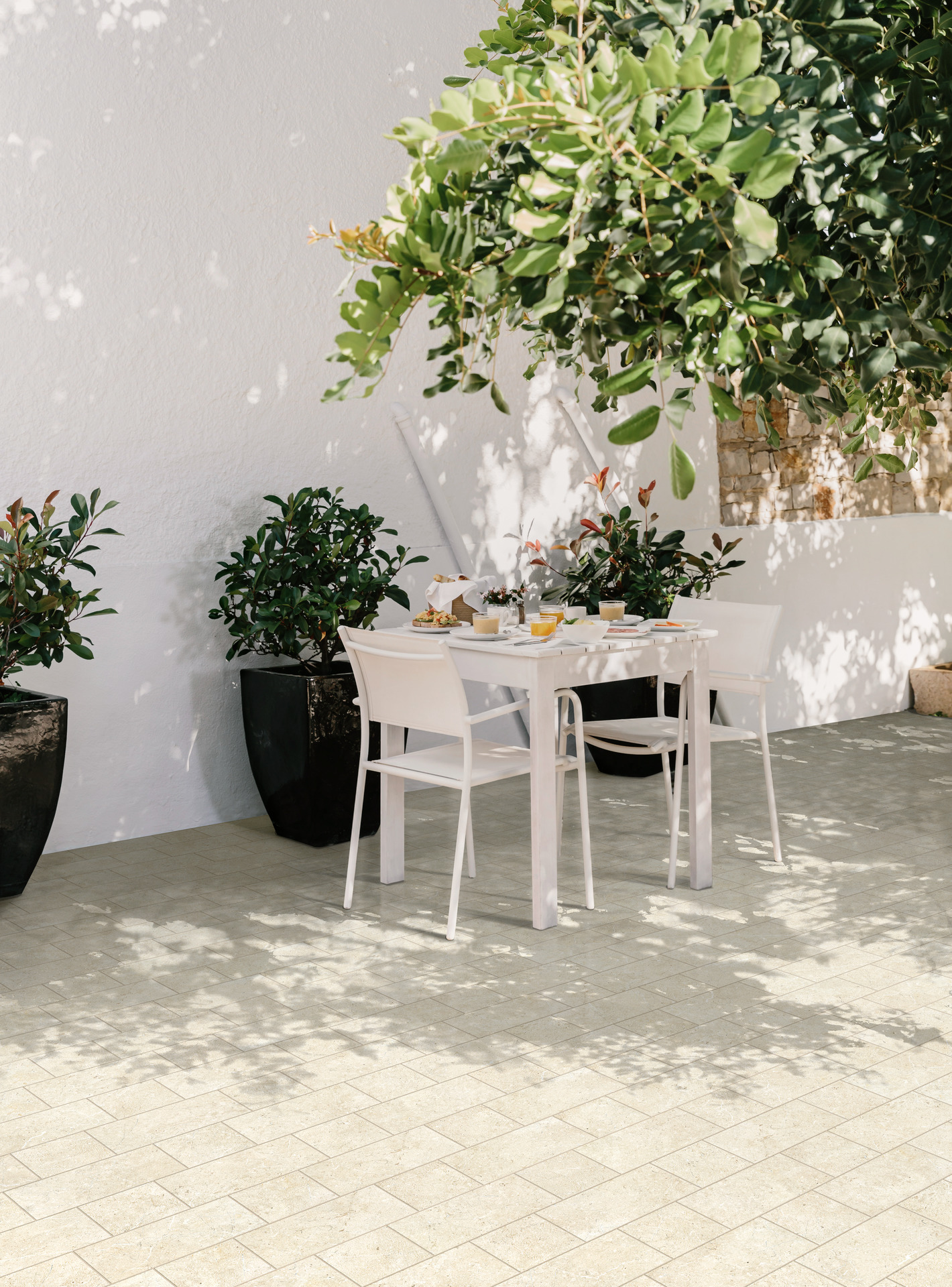 ragno viaggi 003.jpg