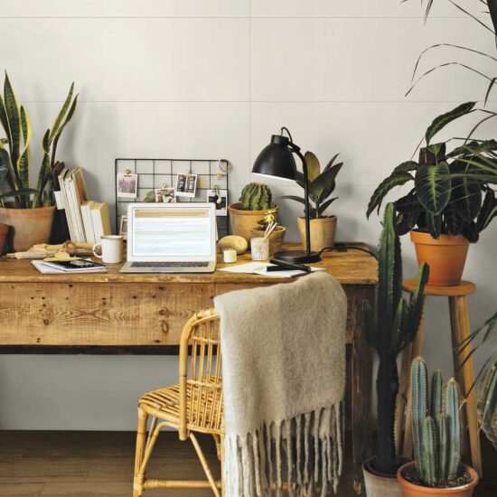 ragno woodclass 006.jpg