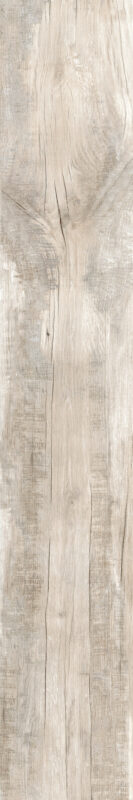 ragno woodmania r55z.jpg