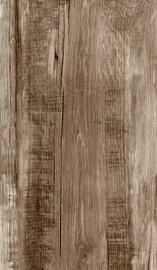 ragno woodmania r56d.jpg