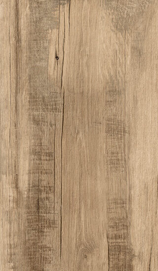 ragno woodmania r56m.jpg