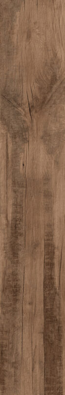 ragno woodmania r56n.jpg