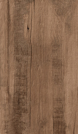 ragno woodmania r56n.jpg