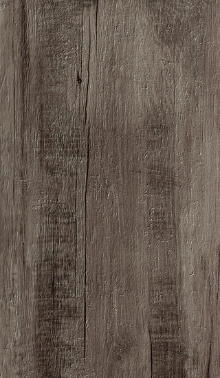 ragno woodmania r56q.jpg