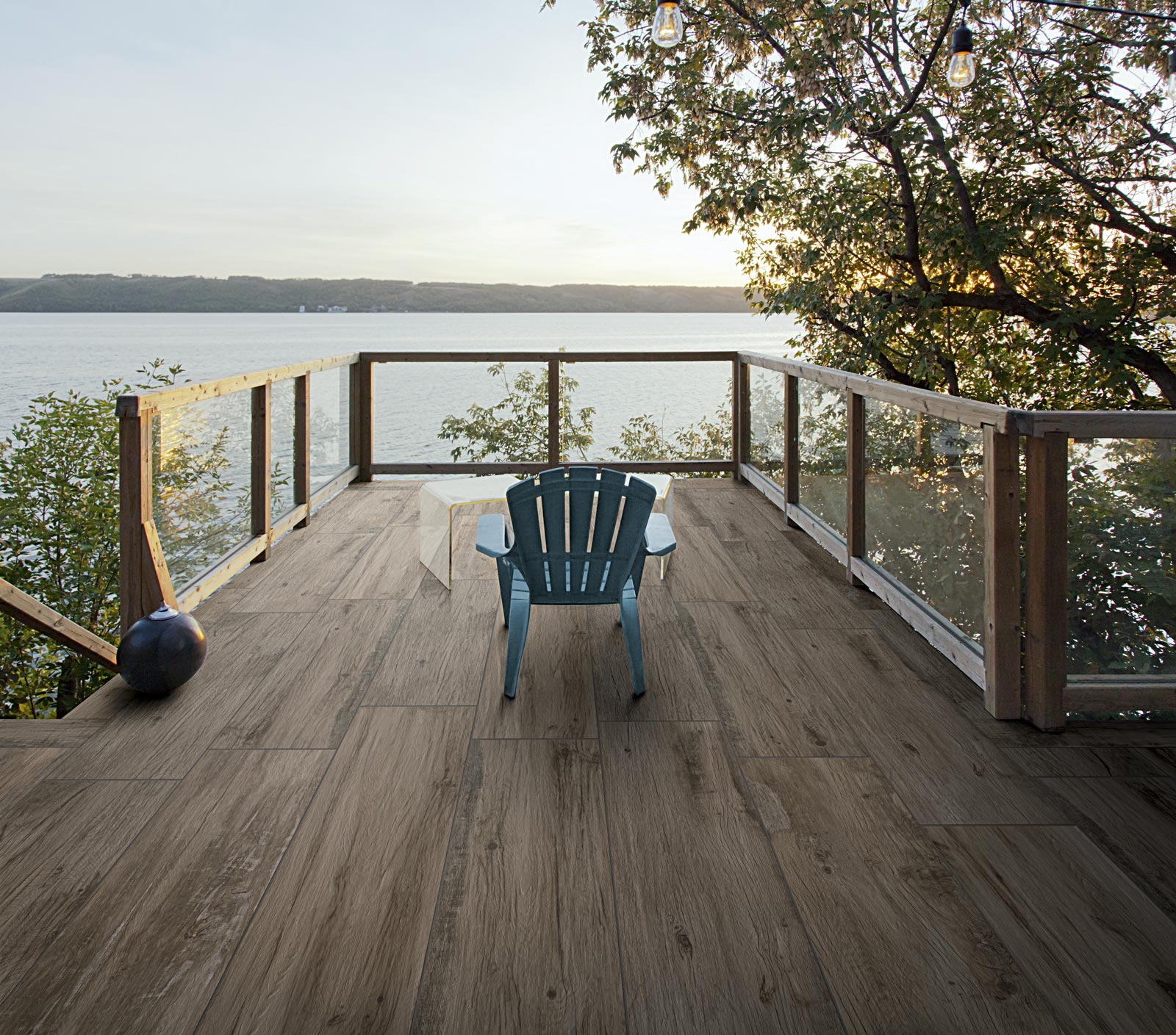 ragno woodmania xt20 001.jpg