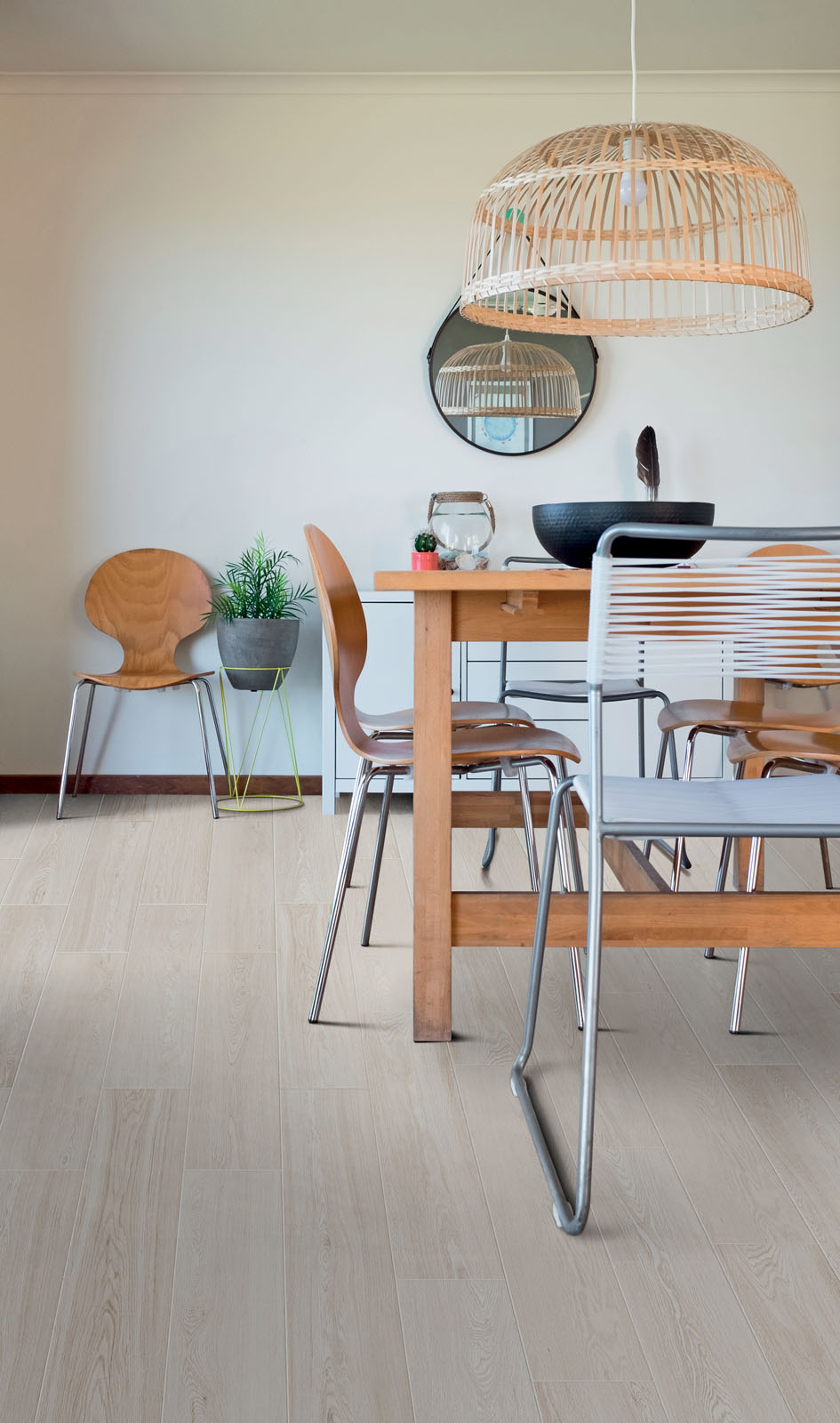 ragno woodsoft 002.jpg