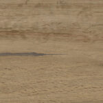 ragno woodstory r5qu.jpg