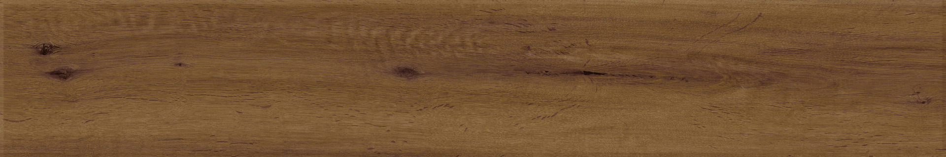 ragno woodstory r5rr.jpg