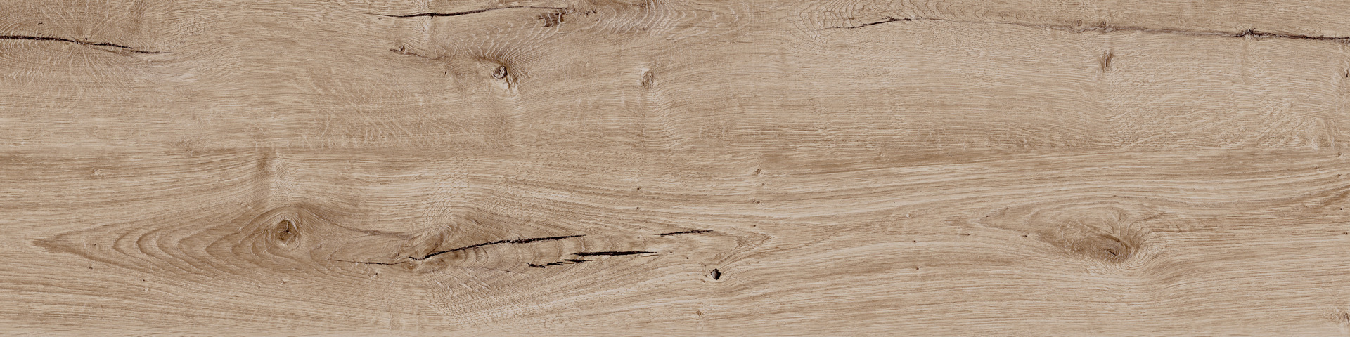 ragno woodtale r4tj.jpg