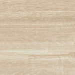 ragno woodtale r4tm.jpg