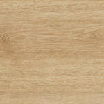 ragno woodtale r4tn.jpg