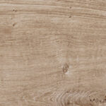 ragno woodtale r4tp.jpg