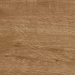 ragno woodtale r4tq.jpg