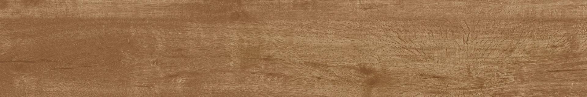 ragno woodtale r4tq.jpg