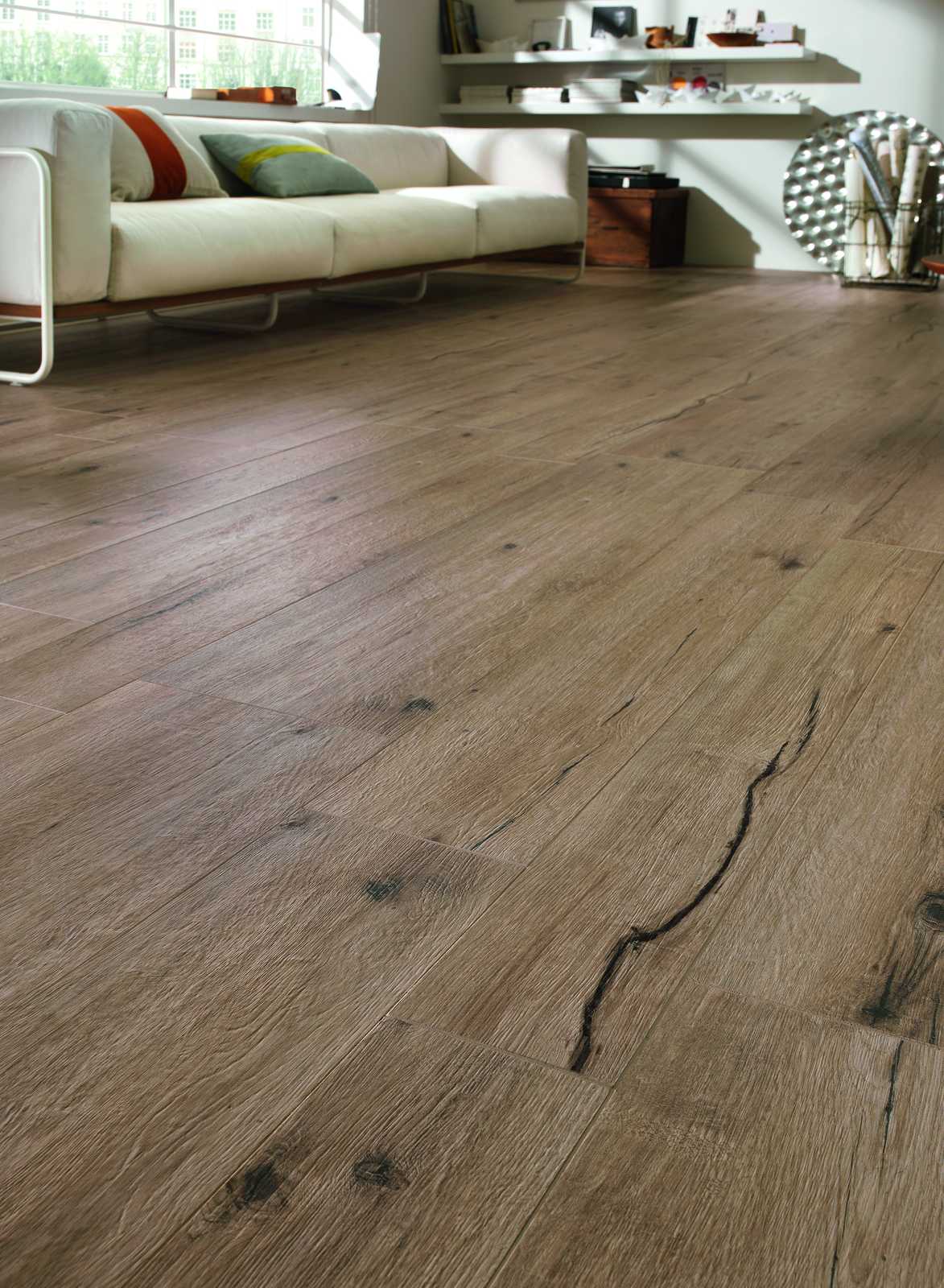 ragno woodtale 002.jpg