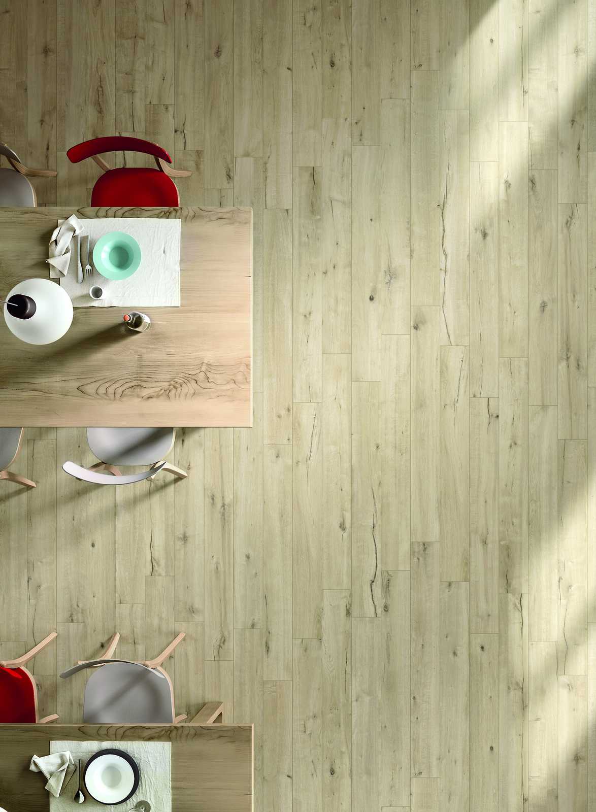 ragno woodtale 015.jpg